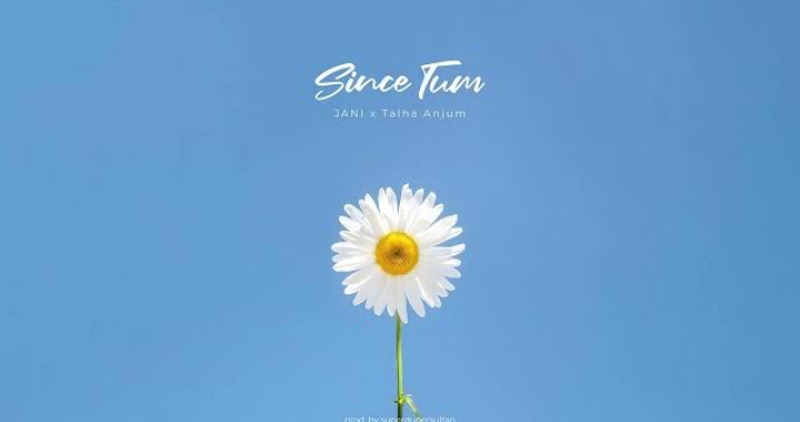 Since Tum Lyrics - Jani Ft. Talha Anjum