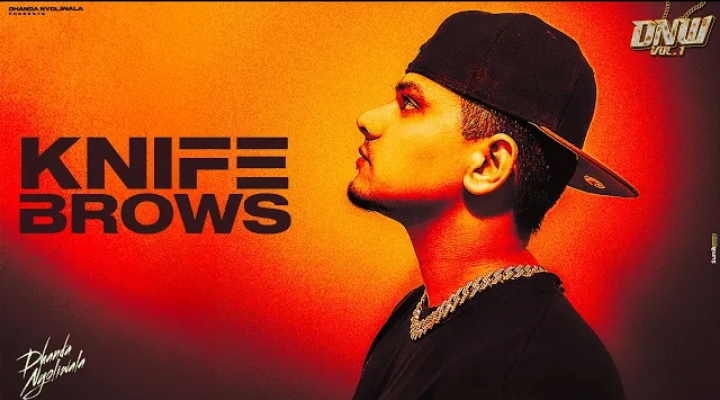 Knife Brows Lyrics - Dhanda Nyoliwala